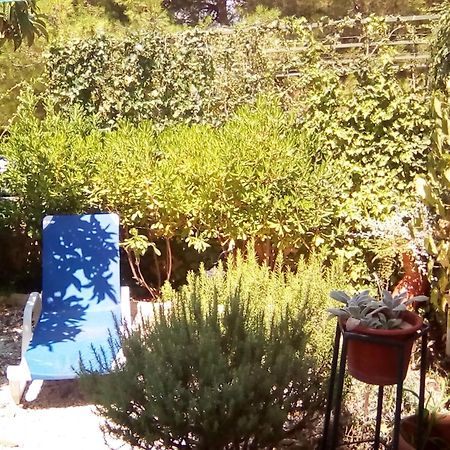 Apartmani Srecko Primošten Exteriér fotografie